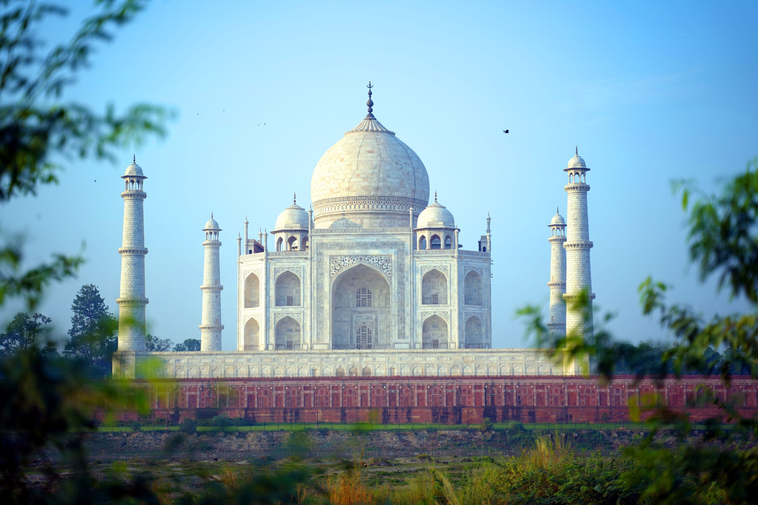 pexels-shalenderkumar-6618046